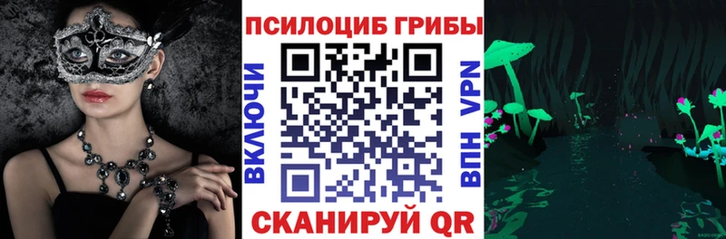 Псилоцибиновые грибы Psilocybe  блэк спрут ONION  Сольцы 